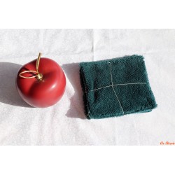 Lot de 4 lingettes printanières bleues