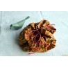 Pied sec floral jaune et rouge