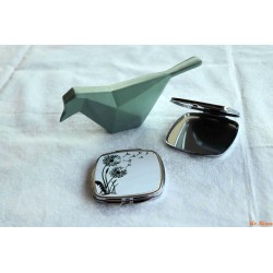 Miroir pissenlits